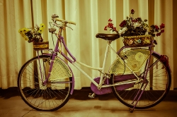Bikes_34