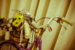 Bikes_37