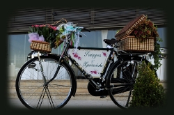 bike 1