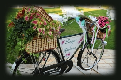 Bike1_4